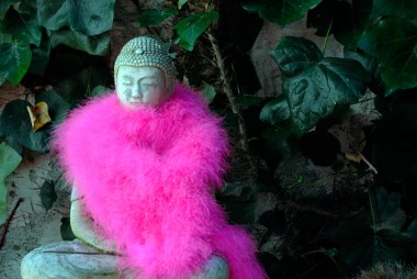 Pink Saturday Buddha